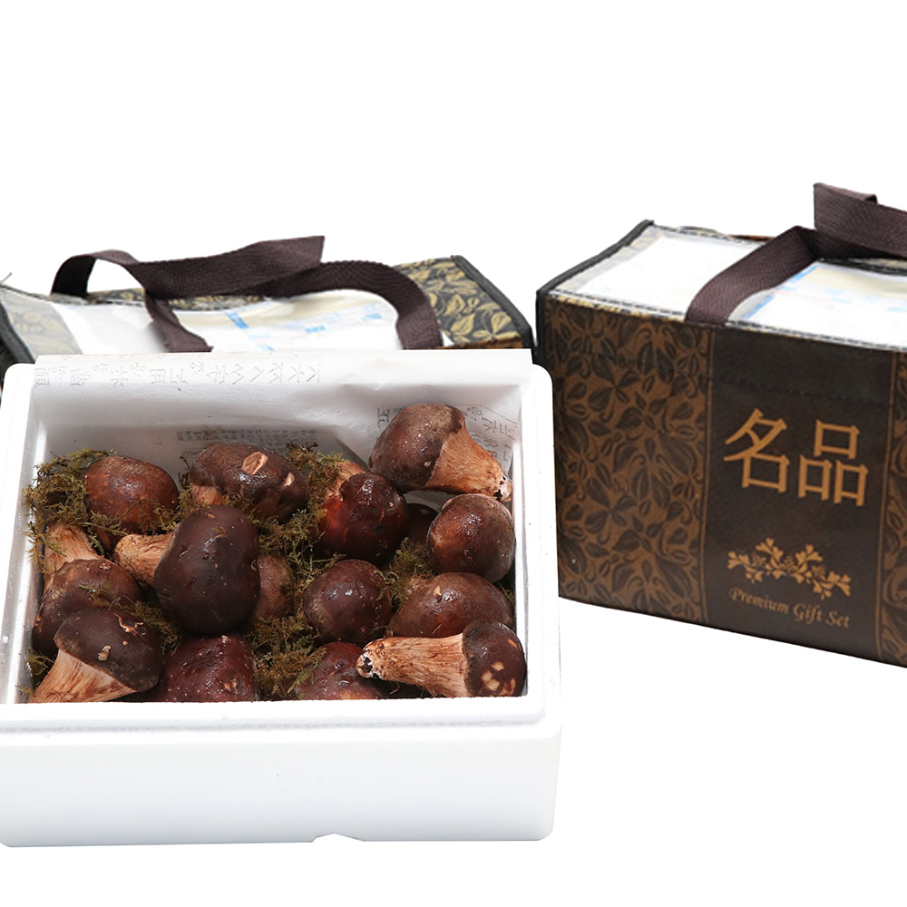 Chamsongi Mushroom Holiday Home Gift Set 500 g / 1 kg